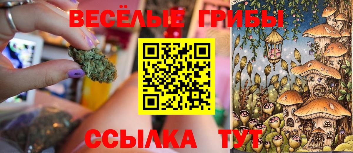 Галлюциногенные грибы Psilocybe  Вход с VPN  Холмск 