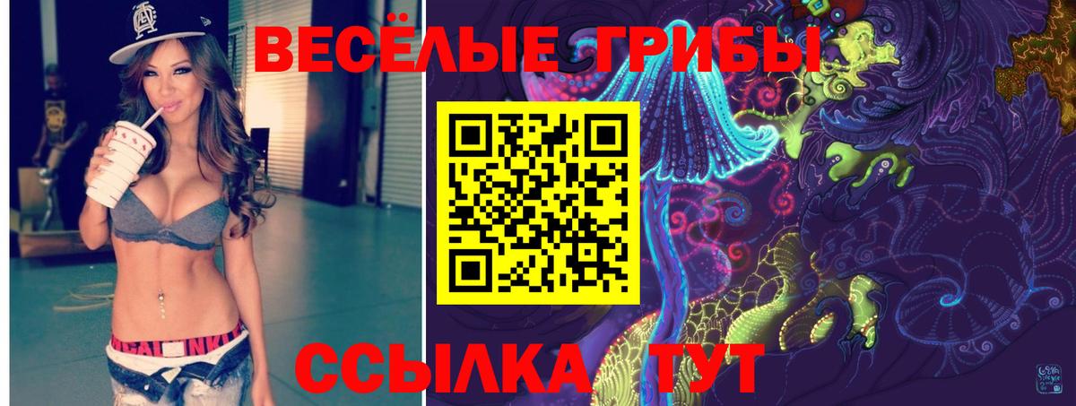 Галлюциногенные грибы GOLDEN TEACHER Холмск